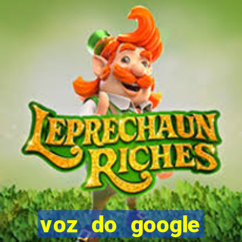 voz do google tradutor homem